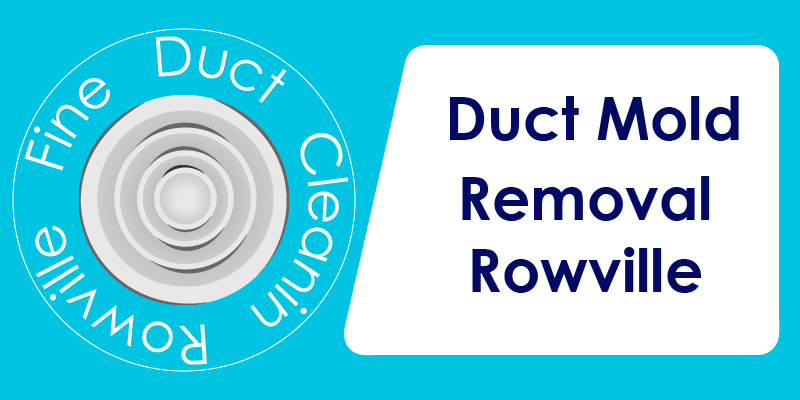 duct mold removal company rowville