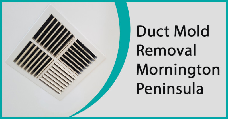 Duct Mold Removal Mornington Peninsula