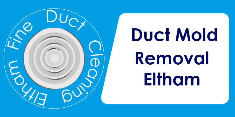 duct mold removal service eltham